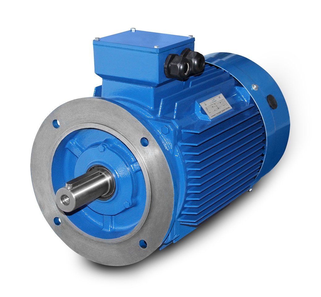 Motor elétrico-M3 160L-11 kW-6pol-B5