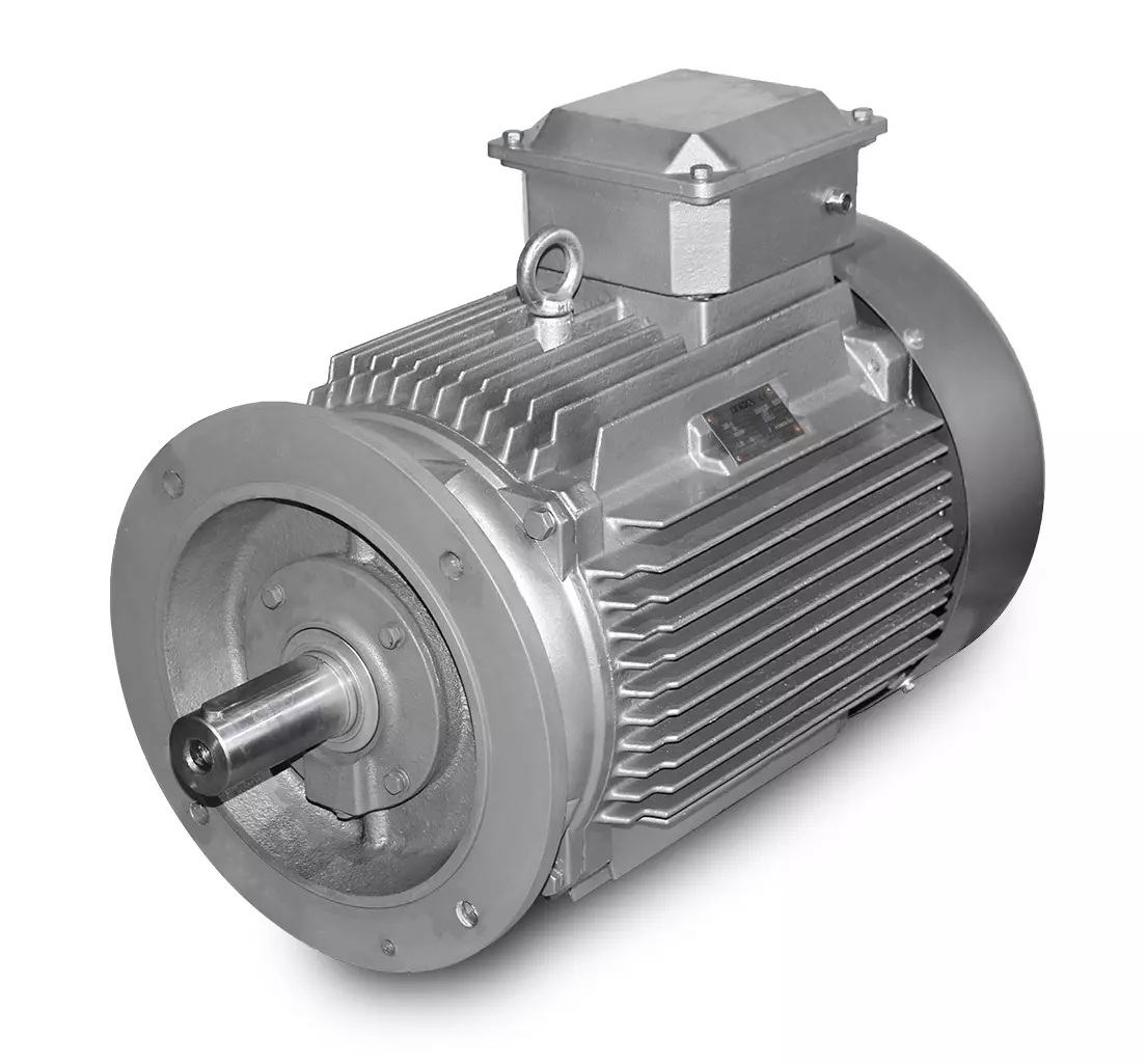 Motor elétrico-M3 200L-30 kW-4pol-B5/V3