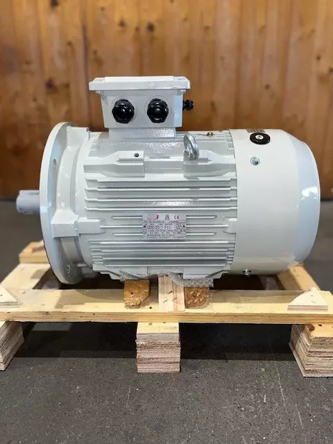 Motor elétrico-M3 160M T3C-15 kW-2pol-B5 
