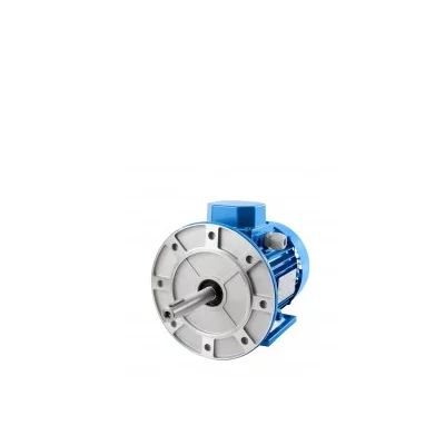 Motor especial com extensão do veio 